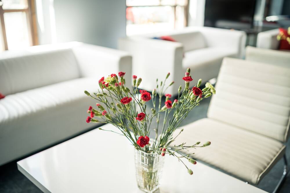 サマー ホテル トット 写真