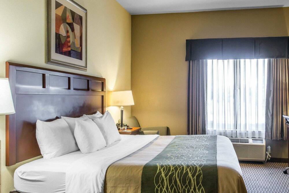 コンフォート イン & スイーツ マディソンビル 写真