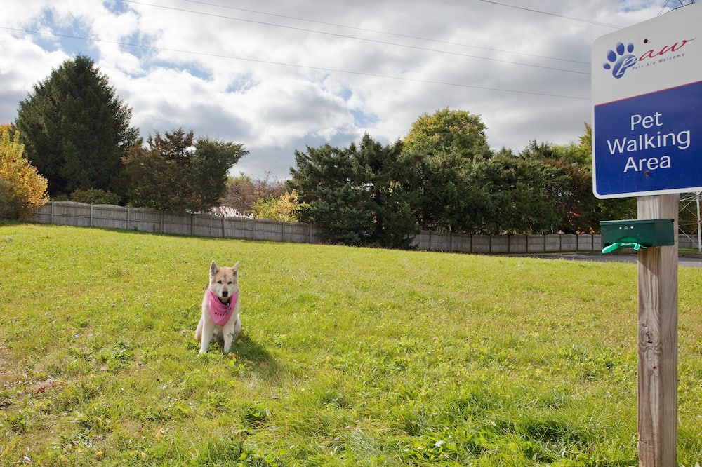キャンドルウッド スイーツ ロックフォード by IHG 写真