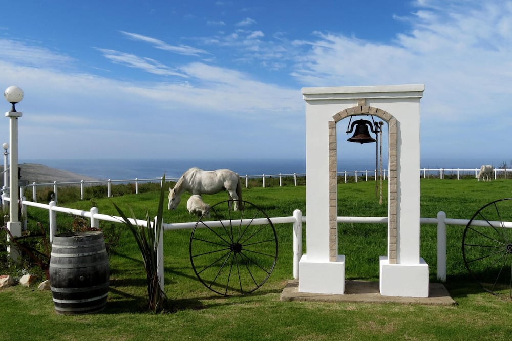 トニクア ステーブル イン 写真