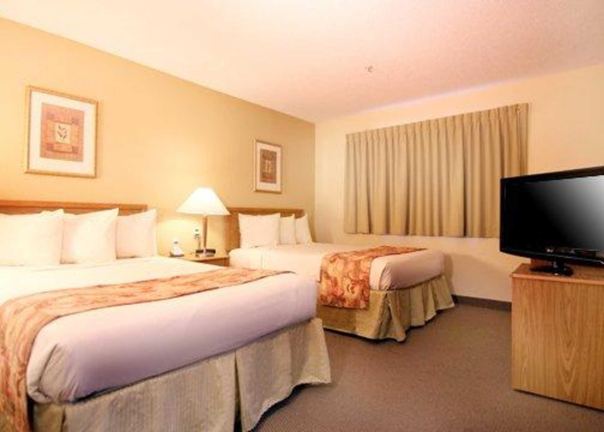 メインステイ スイーツ グリーンビル エアポート 写真