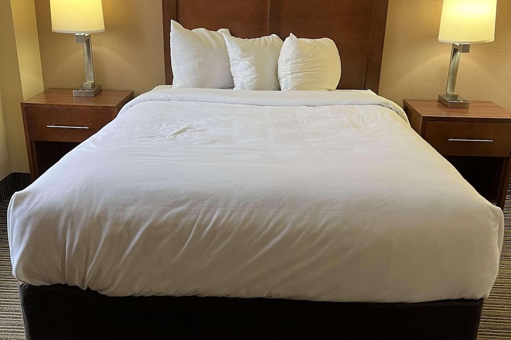 カントリー イン & スイーツ バイ ラディソン バトル クリーク ミシガン 写真