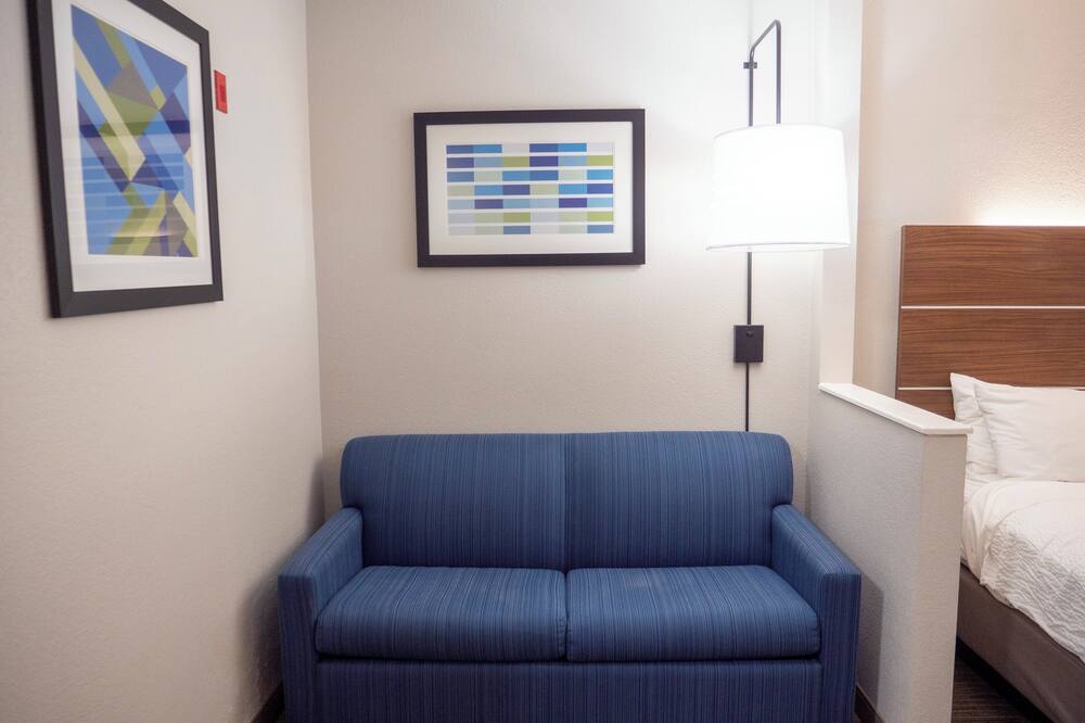 ホリデイ イン エクスプレス & スイーツ グリーンビル エアポート by IHG 写真