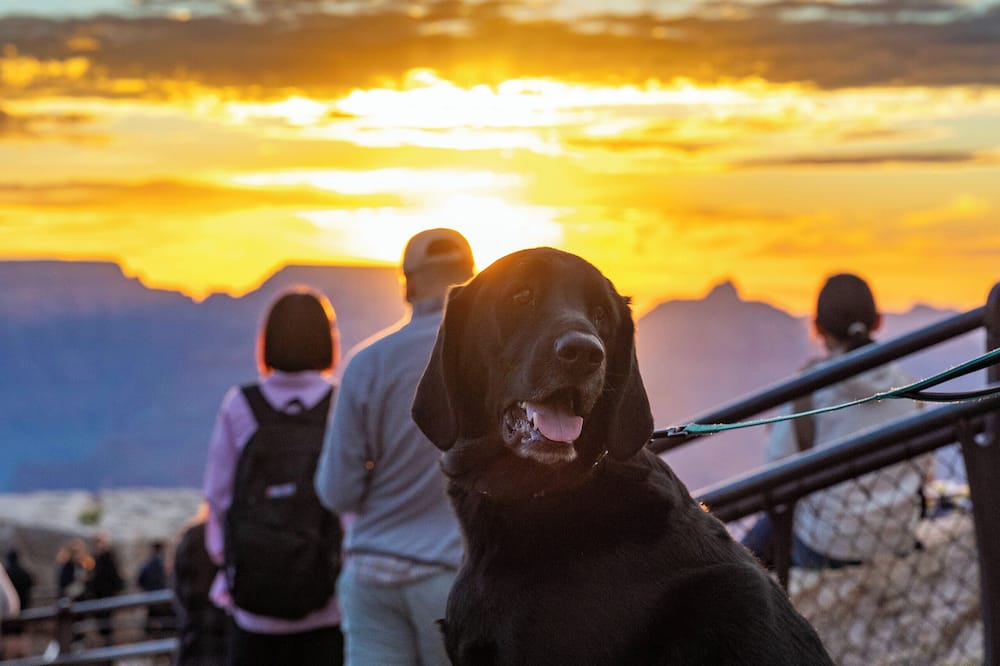 Yavapai Lodge 写真