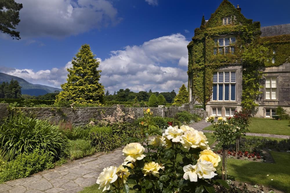 Ardree House B&B 写真