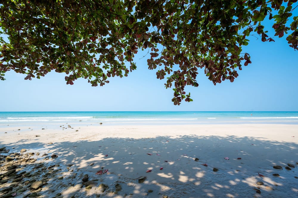 カチャ リゾート & スパ コ チャン 写真