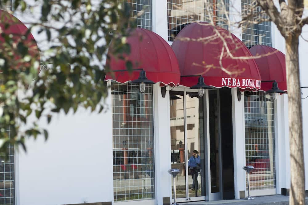 Neba Royal Hotel 写真