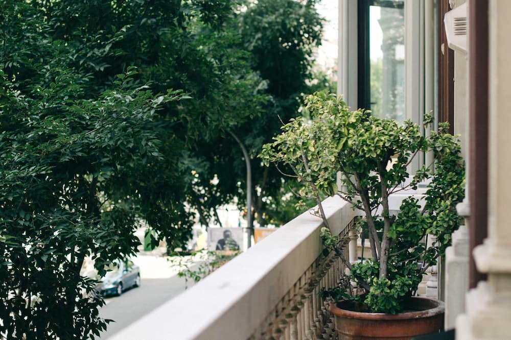 サーカ 1905 写真