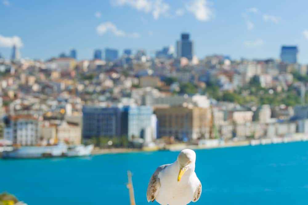 レガシー オトマン ホテル 写真