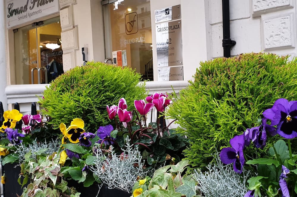 グランド プラザ サービス アパートメンツ 写真