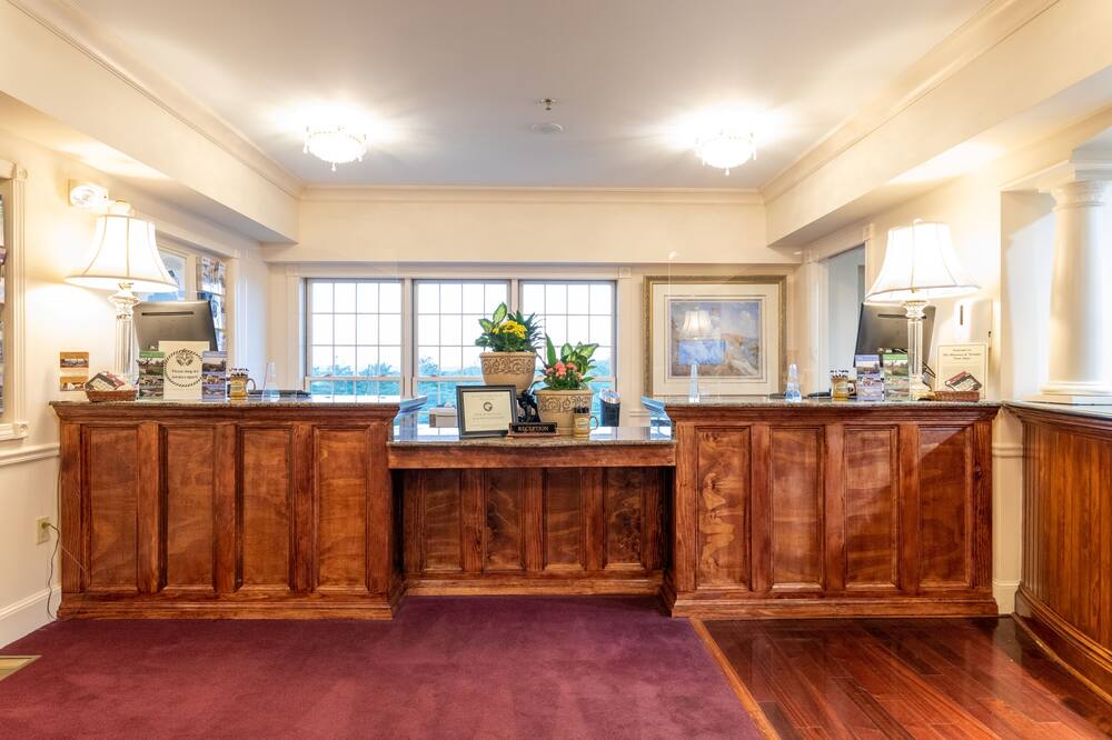 ワンダー ビュー イン 写真