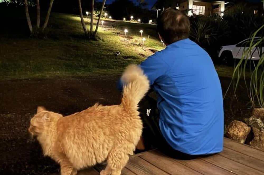 マハナ ハウス カントリー イン 写真