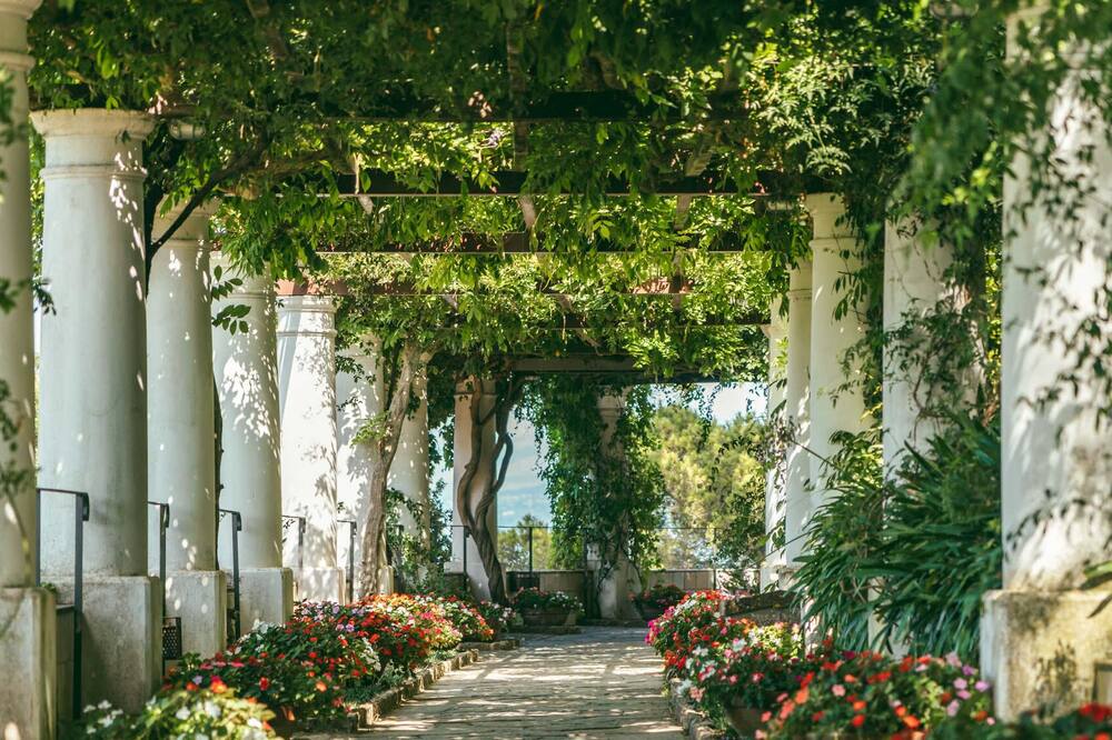 ホテル ラ ベガ 写真