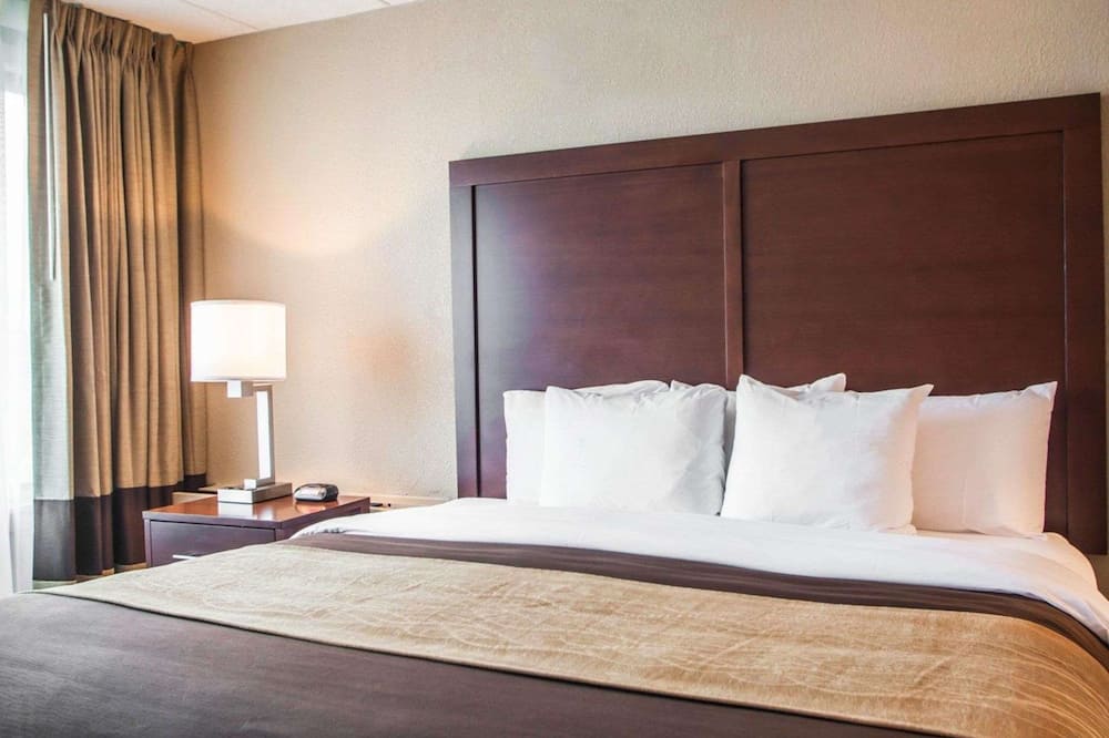 クオリティ イン & スイーツ オーランド パーク - シカゴ 写真