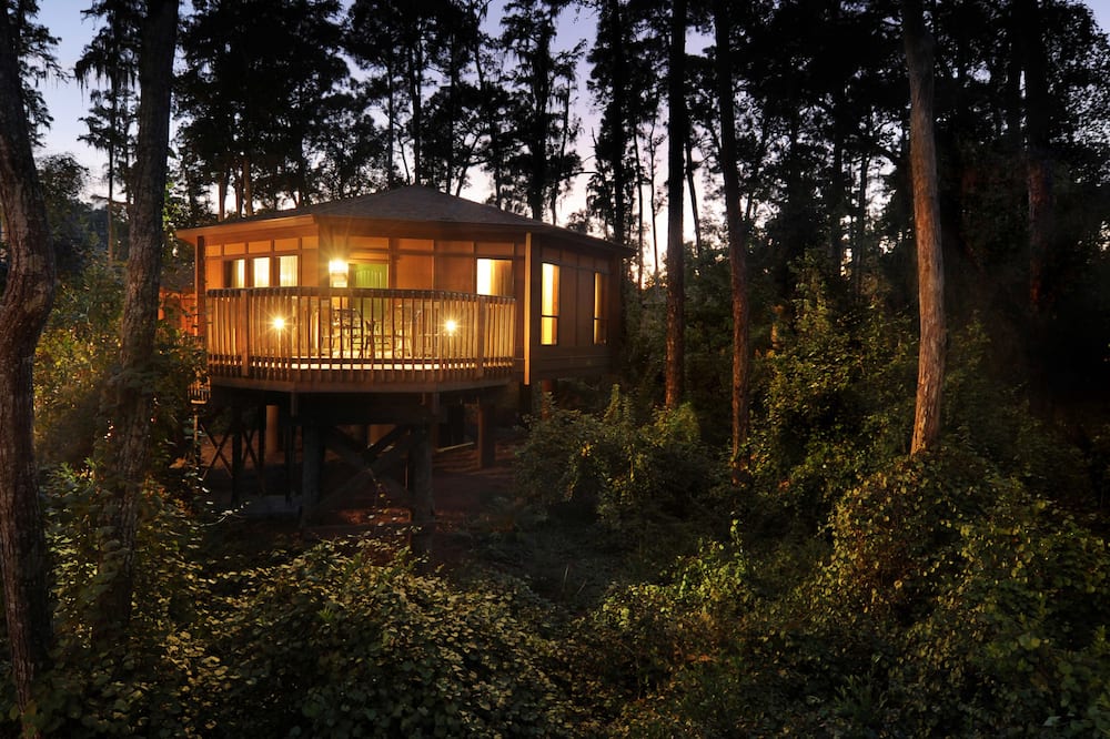 ディズニーズ サラトガ スプリングス リゾート & スパ 写真