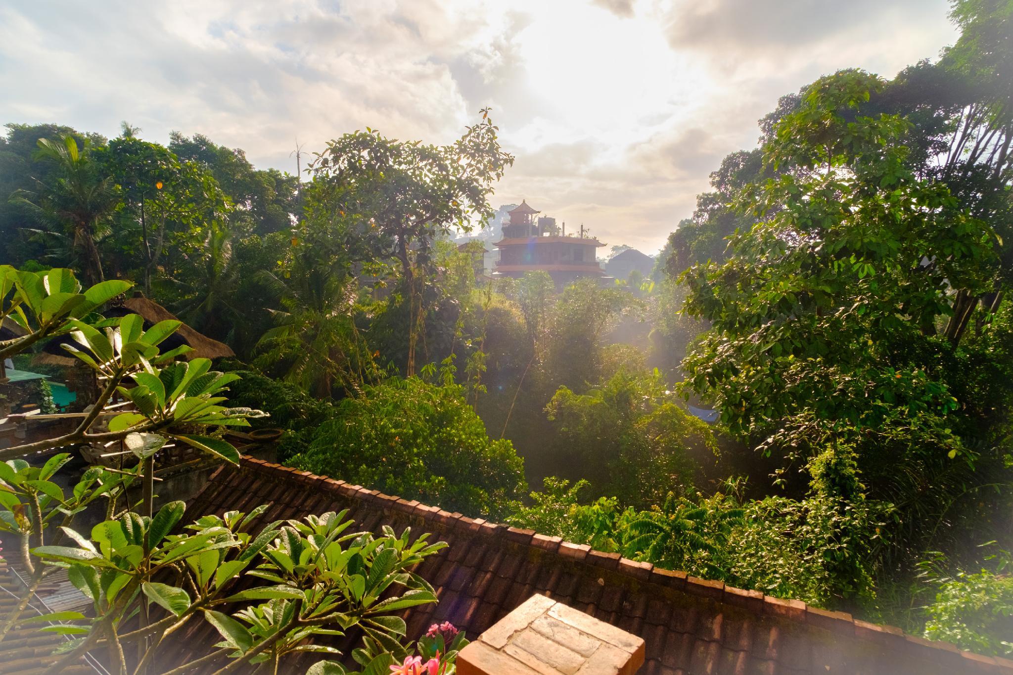 バリ ウブド ハーモニー 写真