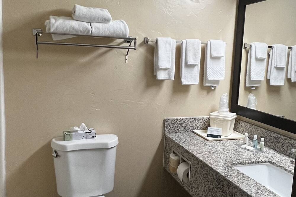 クオリティ イン ザイオン パーク エリア 写真