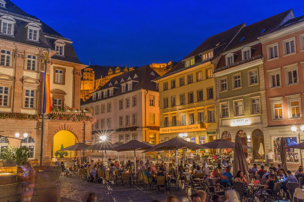 Hotel Goldener Falke 写真