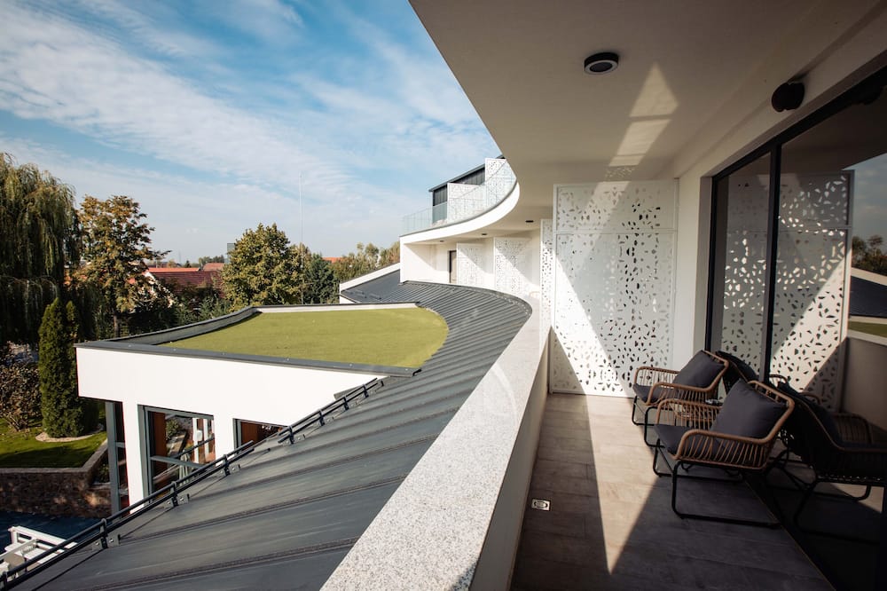 シュタインコレクション 写真