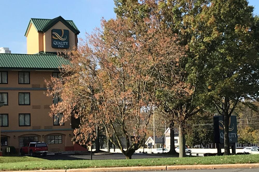 クオリティ イン ニア プリンストン 写真