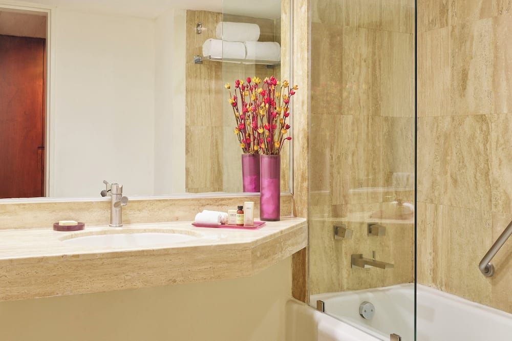 フィエスタ アメリカーナ レフォルマ 写真