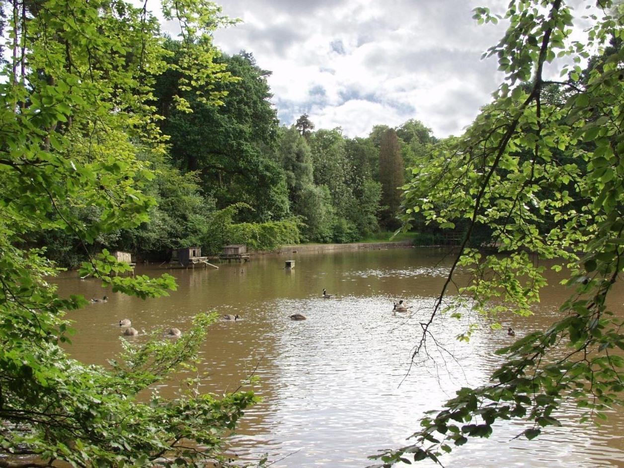Old Rose and Crown Hotel 写真