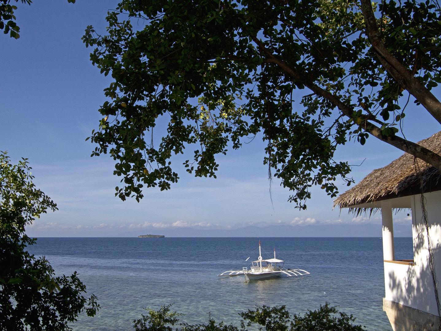 クオ バディス ダイブ リゾート 写真