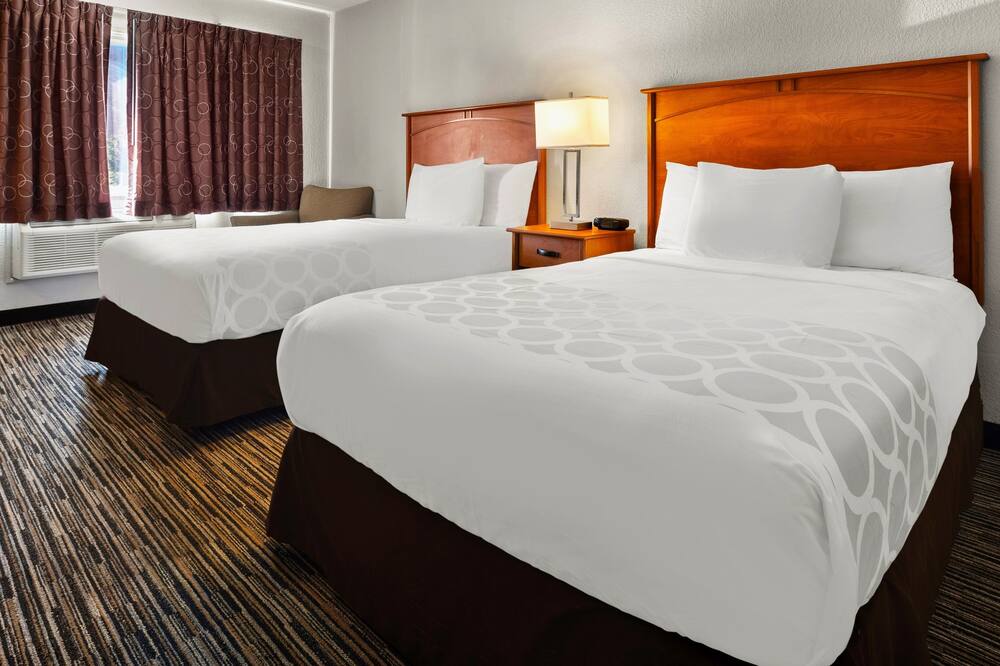 マグナソン ホテル デトロイト エアポート 写真