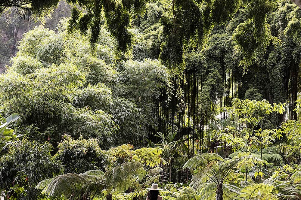センセイラナイ、フォーシーズンズリゾート 写真