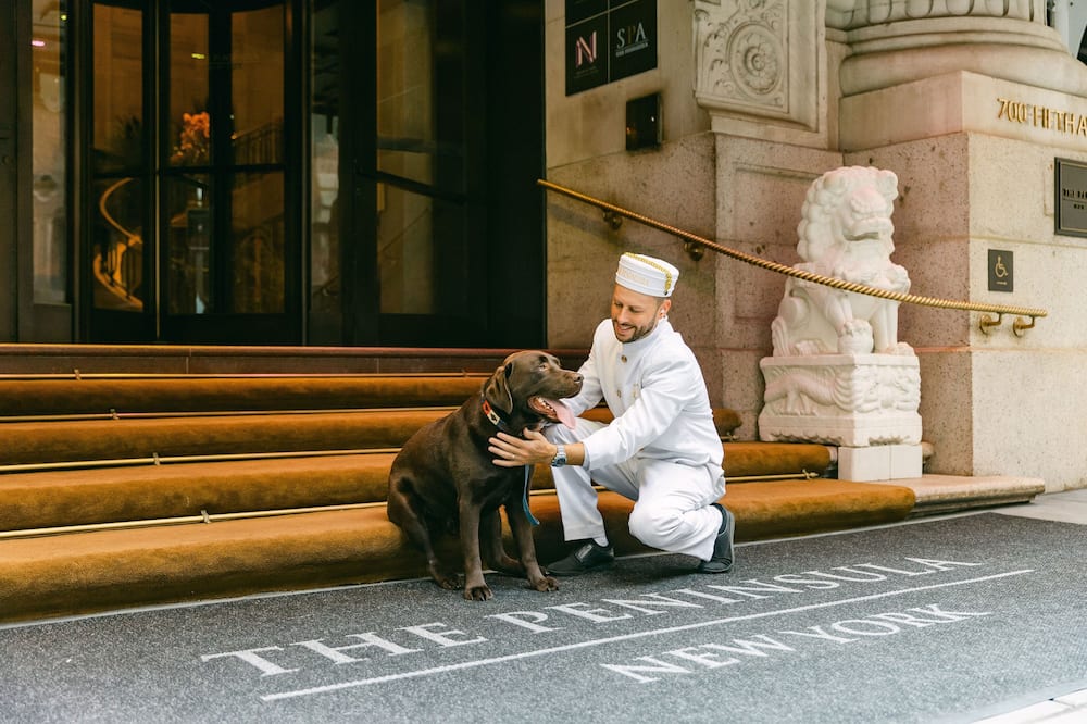 ザ ペニンシュラ ニューヨーク ホテル 写真