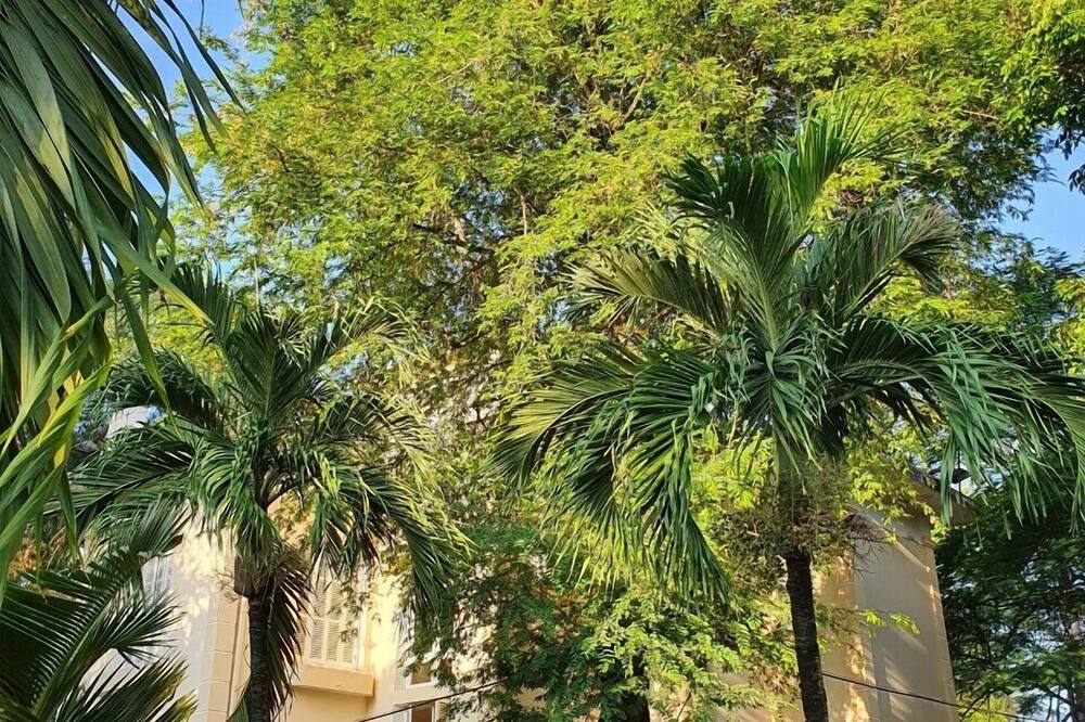 ハイ オウ ホテル 写真