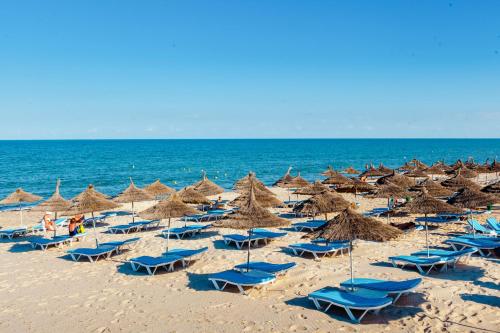 Bellevue Park Hotel 写真