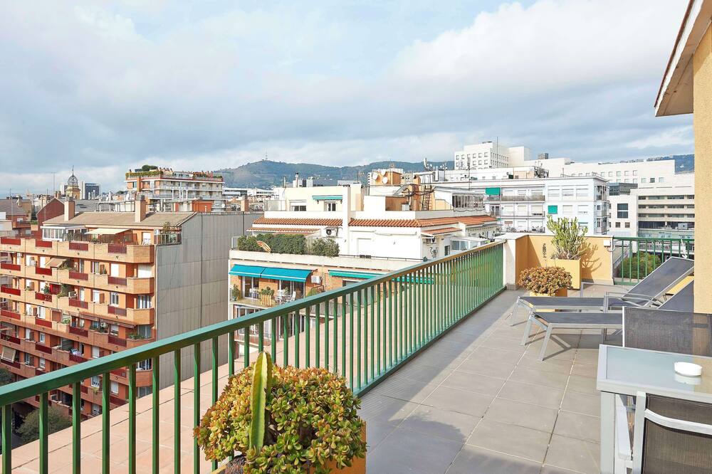 NH レス コルツ 写真