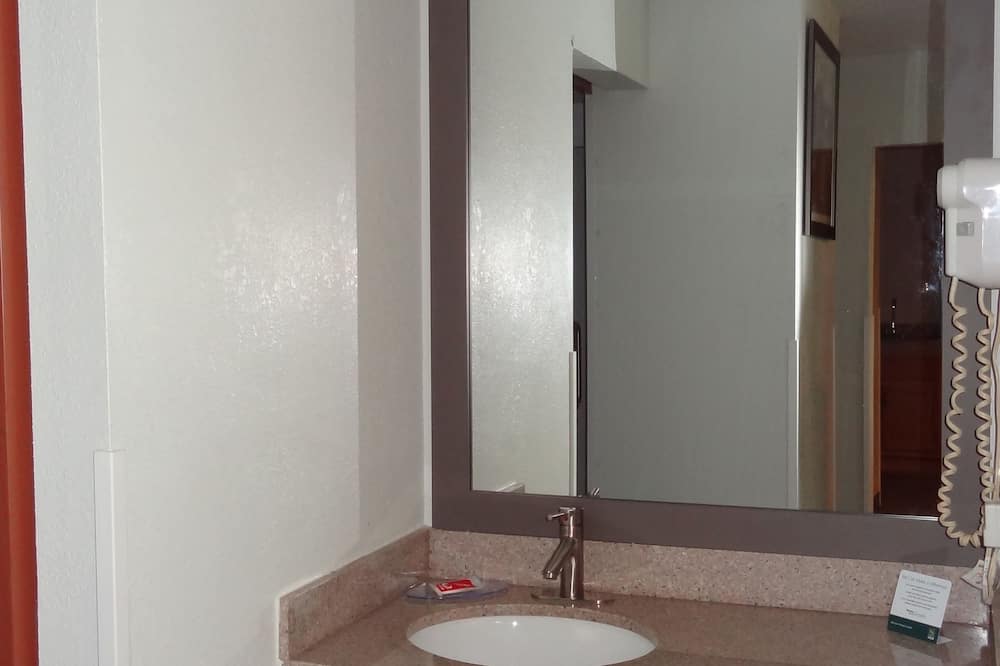 クオリティ イン & スイーツ ローリー ノース 写真