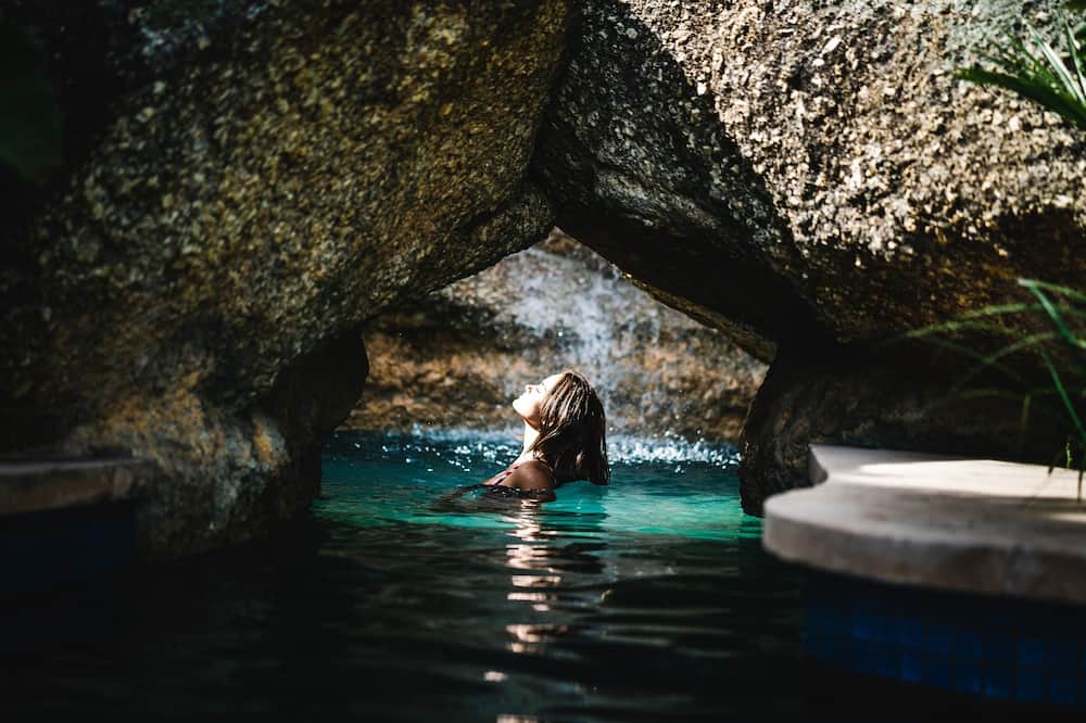 21 ネットルトン 写真