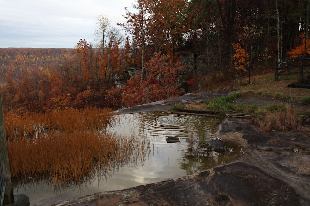 ガーデン イン アット ビー ロック ベッド アンド ブレックファースト 写真