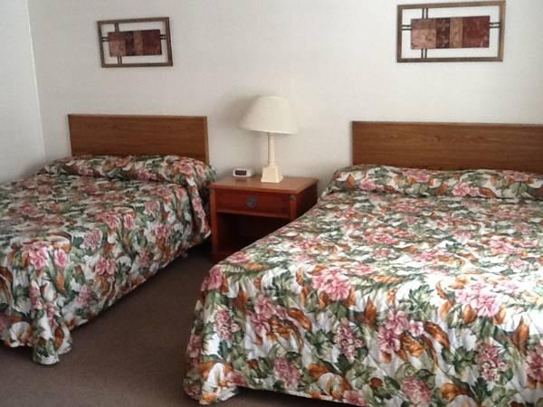 サファリ モーテル 写真