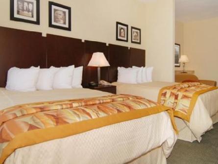 コンフォート スイーツ 写真