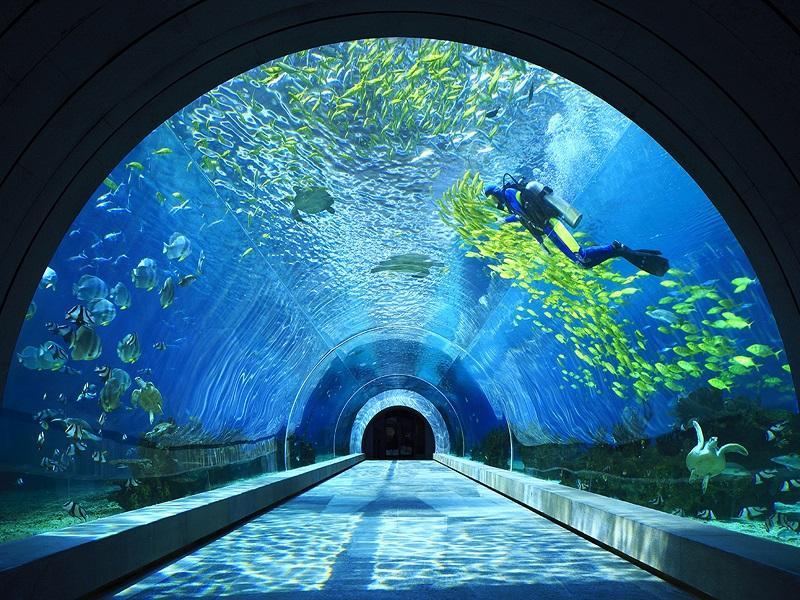 インターコンチネンタル サンヤ ハイタンベイ リゾート バイ IHG 写真