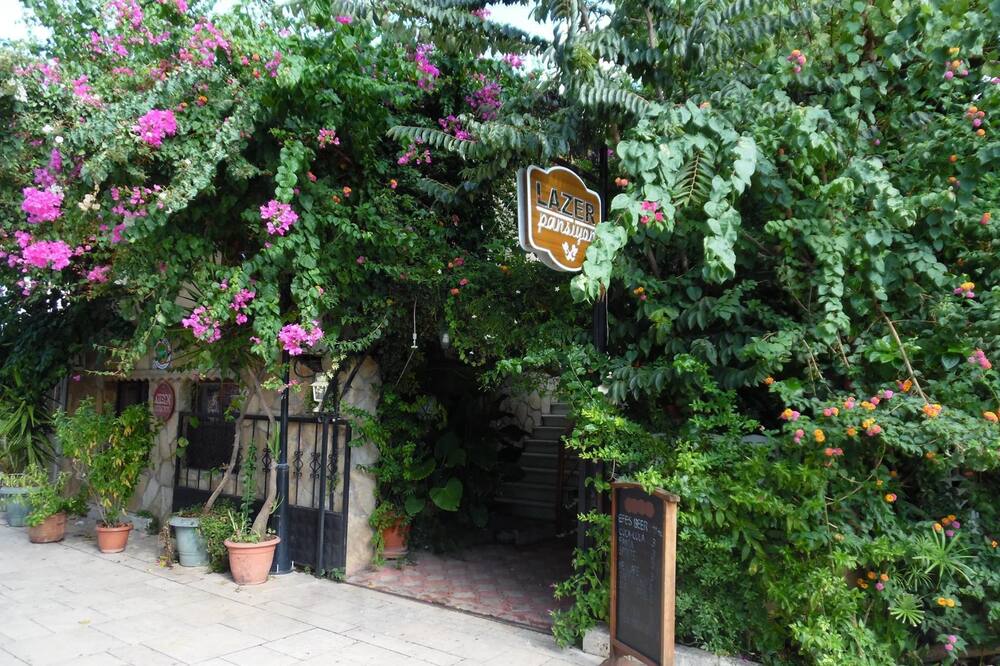 ラゼル ペンション カレイチ 写真