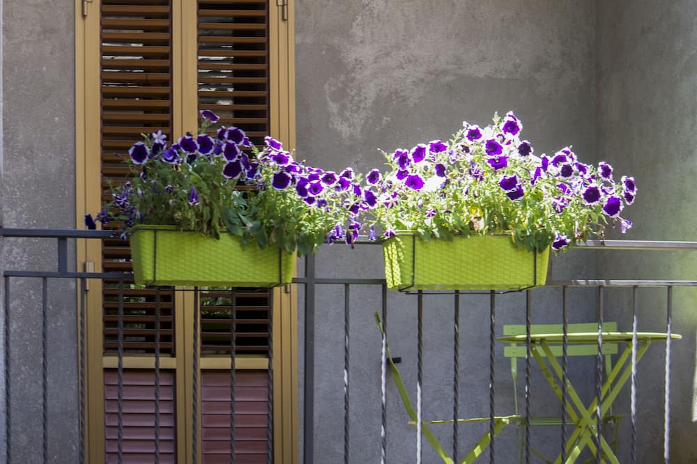 アルベルゴ フィリッペスキ 写真