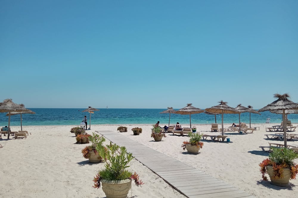 ホテル コンコルド グリーン パーク パレス 写真