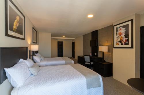 Conquistador Hotel & Conference Center 写真