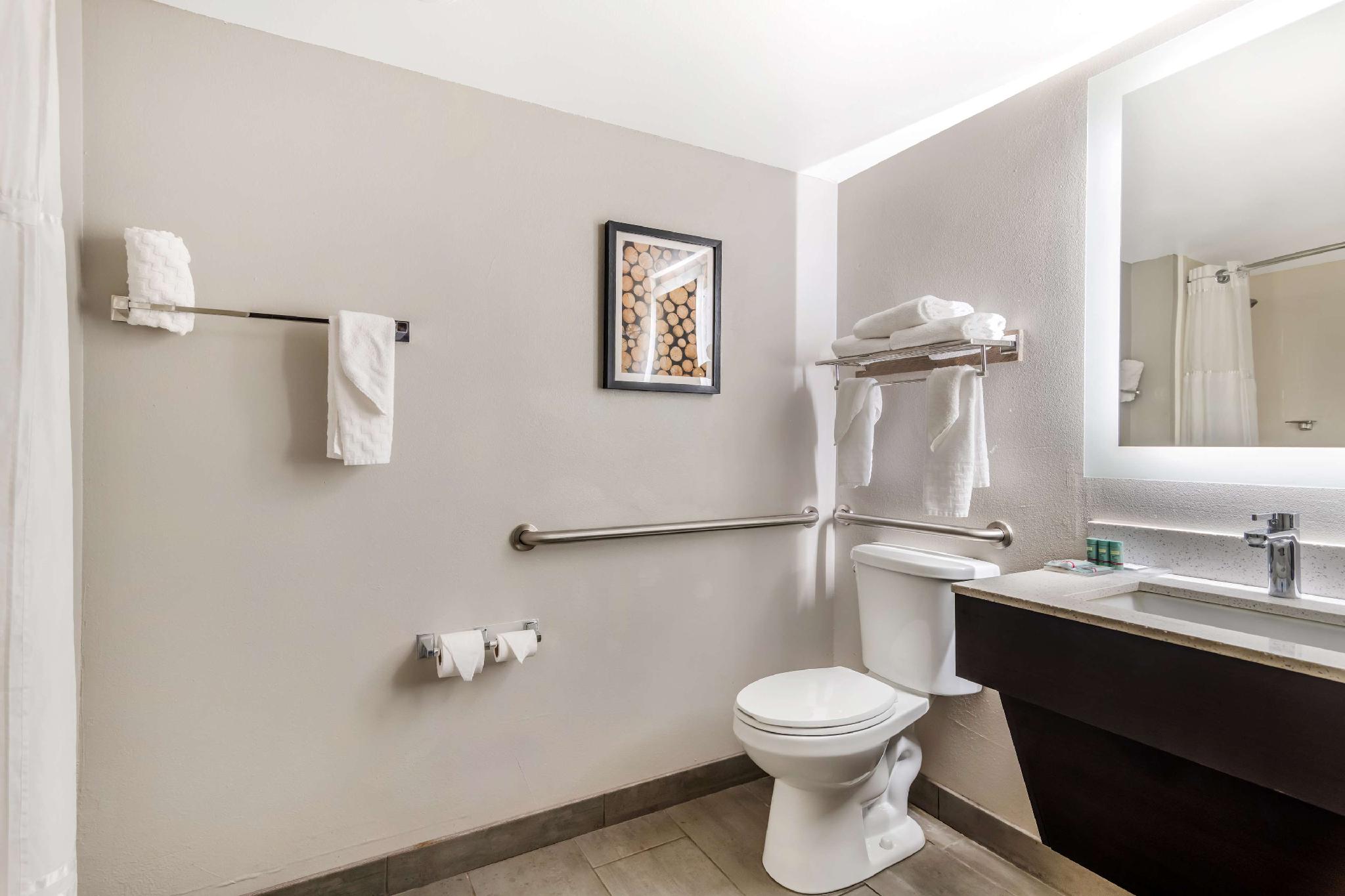 Best Western Atlanta-Marietta Ballpark Hotel 写真