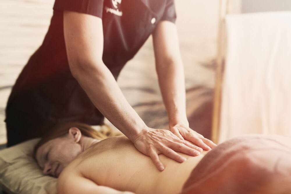 フォーゲルブロ サテリ 写真