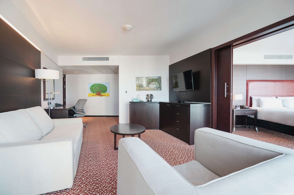 Hilton Garden Inn Montevideo 写真