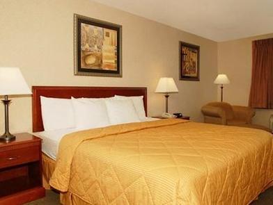 コンフォート イン & スイーツ ローレンスバーグ 写真