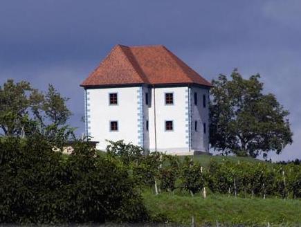 ワイン グローワーズ マンション ズラティ グリツ 写真
