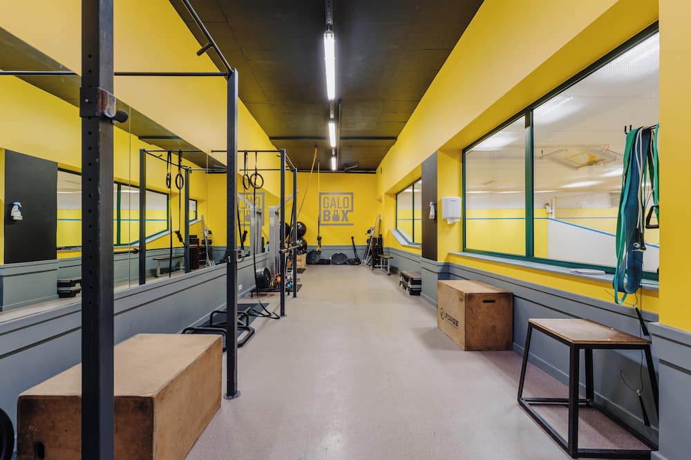 センチード ガロソル 写真