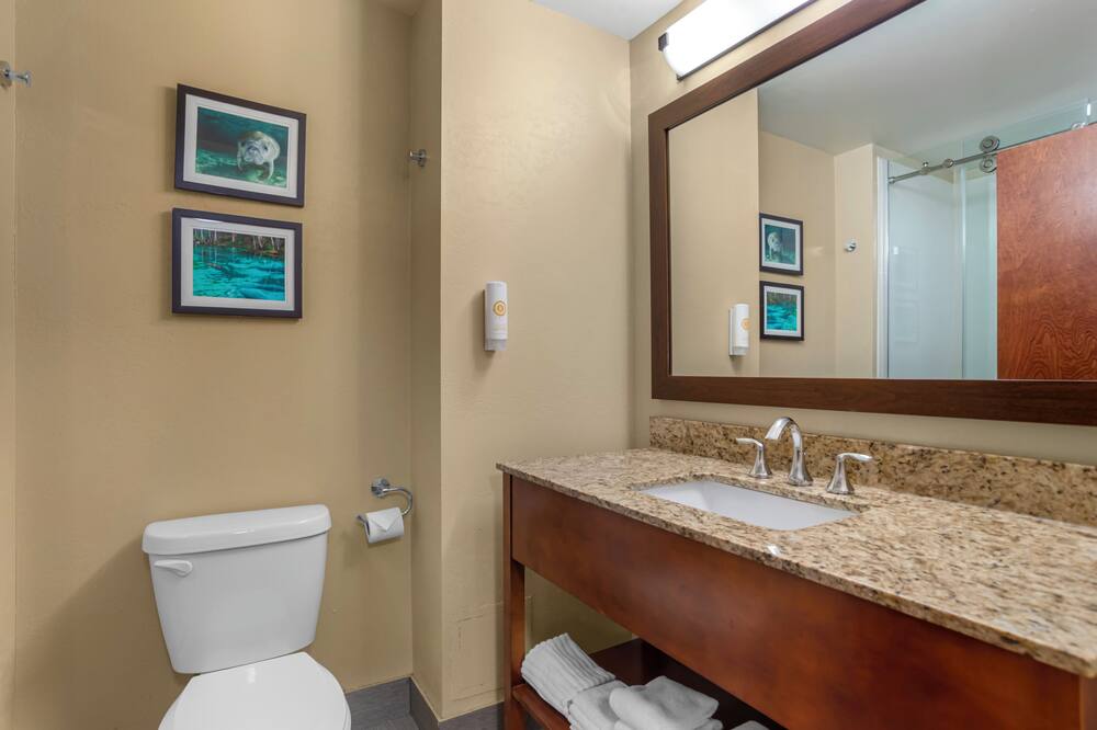 コンフォート スイーツ タラハシー キャピトル - ユニバーシティ エリア 写真